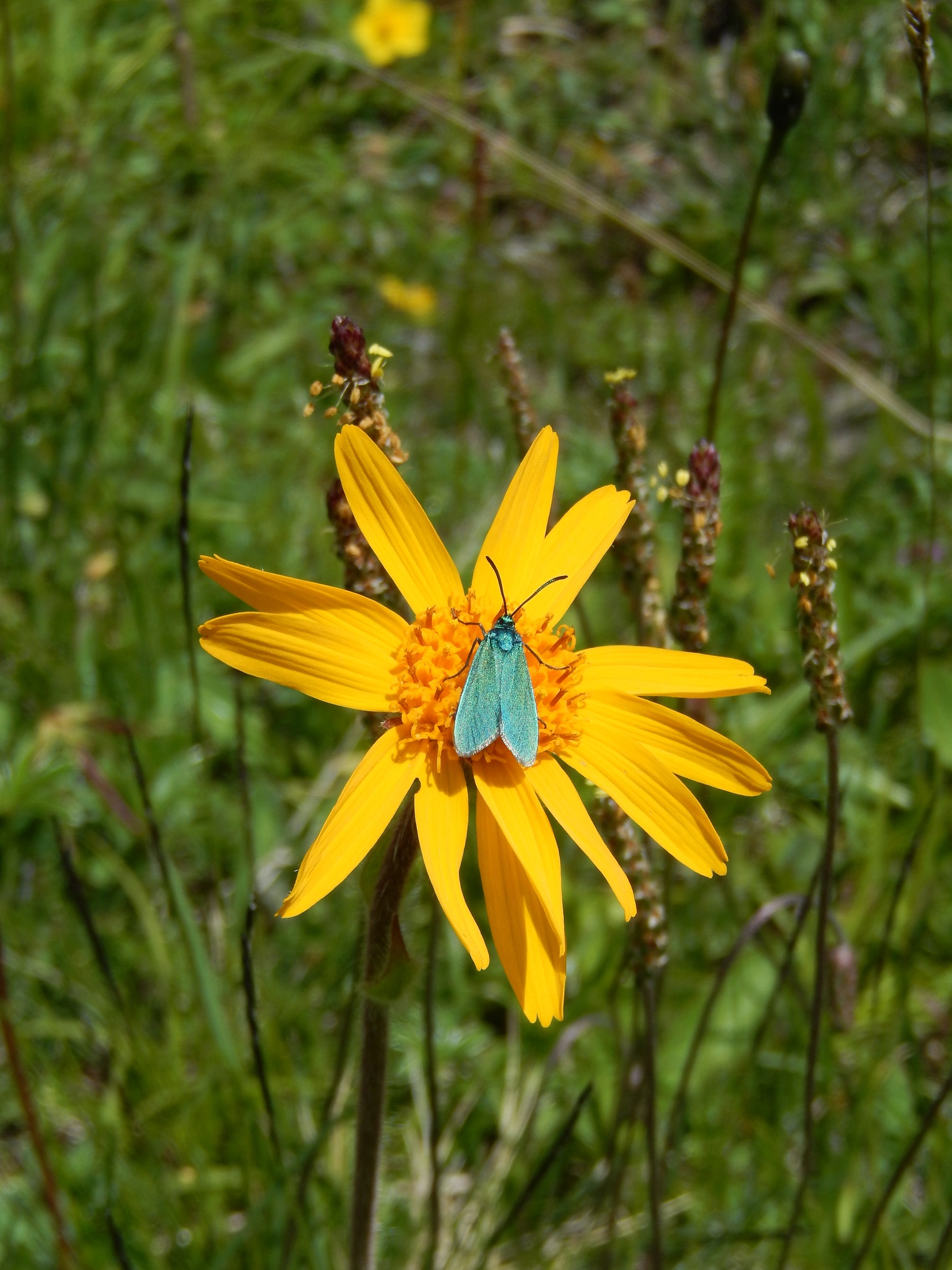 Annexe DSCN2651.jpeg