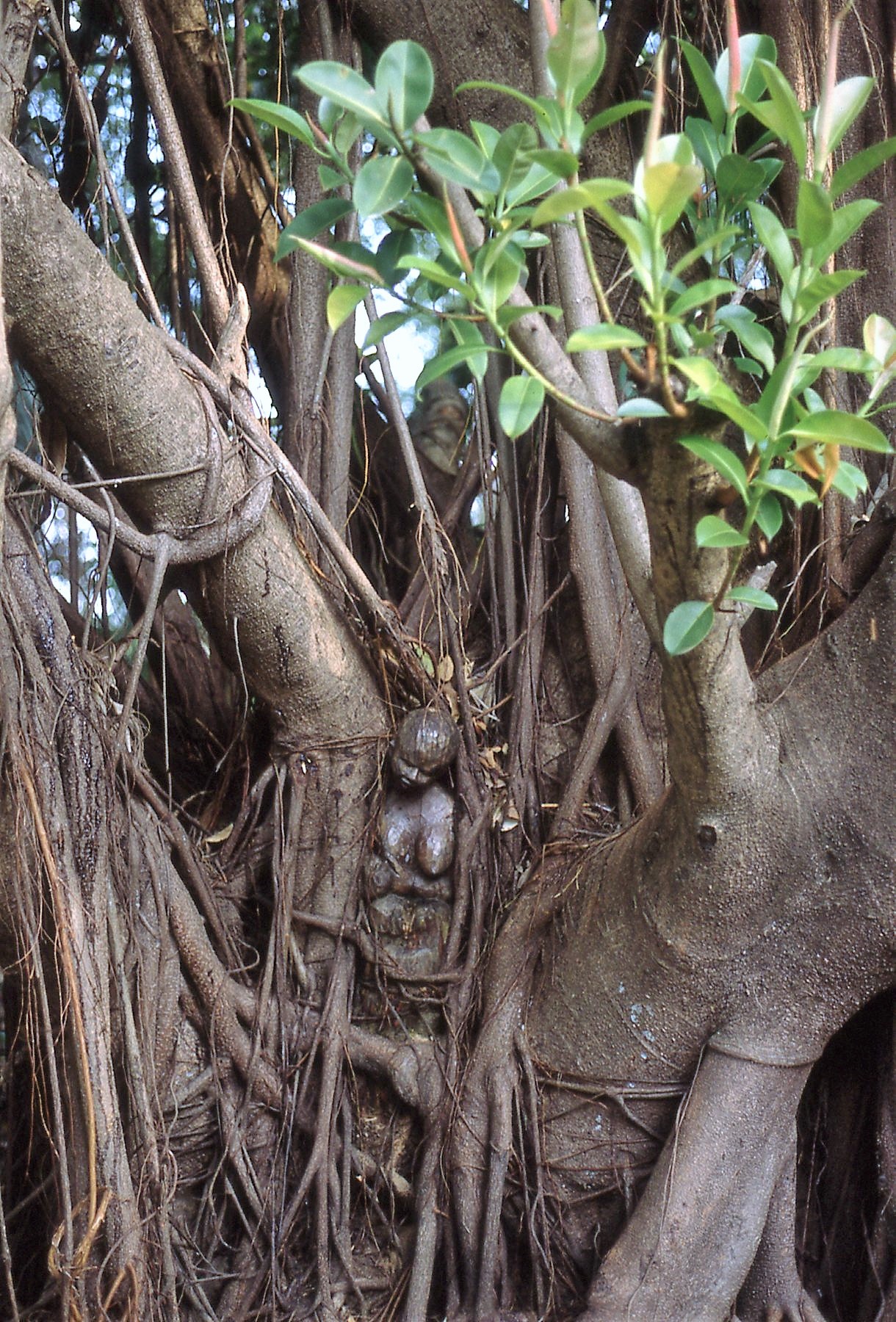 Annexe 92_TOGO032.jpg