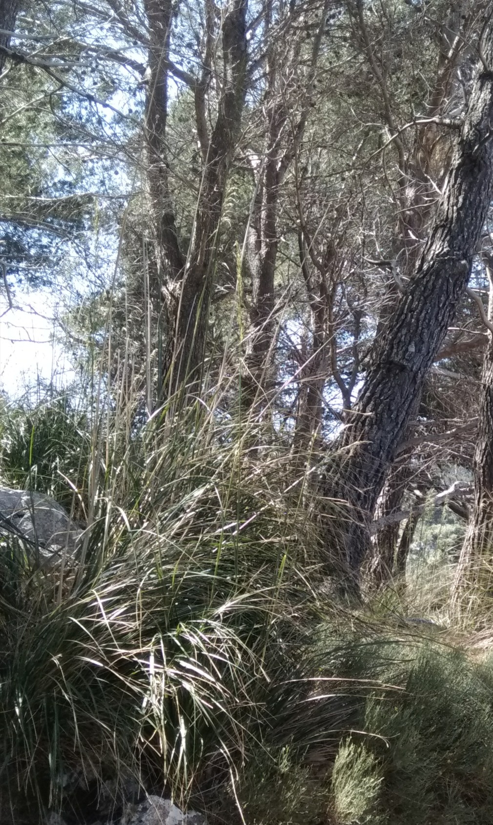 Annexe IMG_20180427_194914.jpg