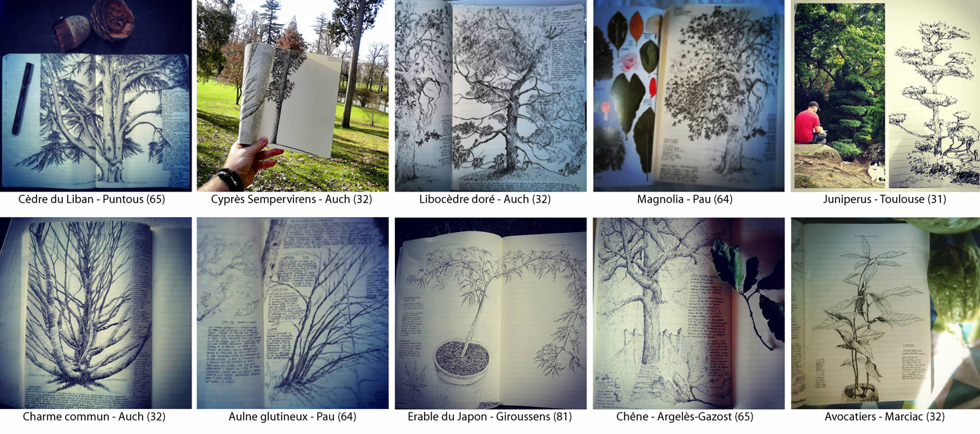 Annexe x10 arbres.jpg