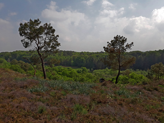 Annexe Rochefort en t .jpg