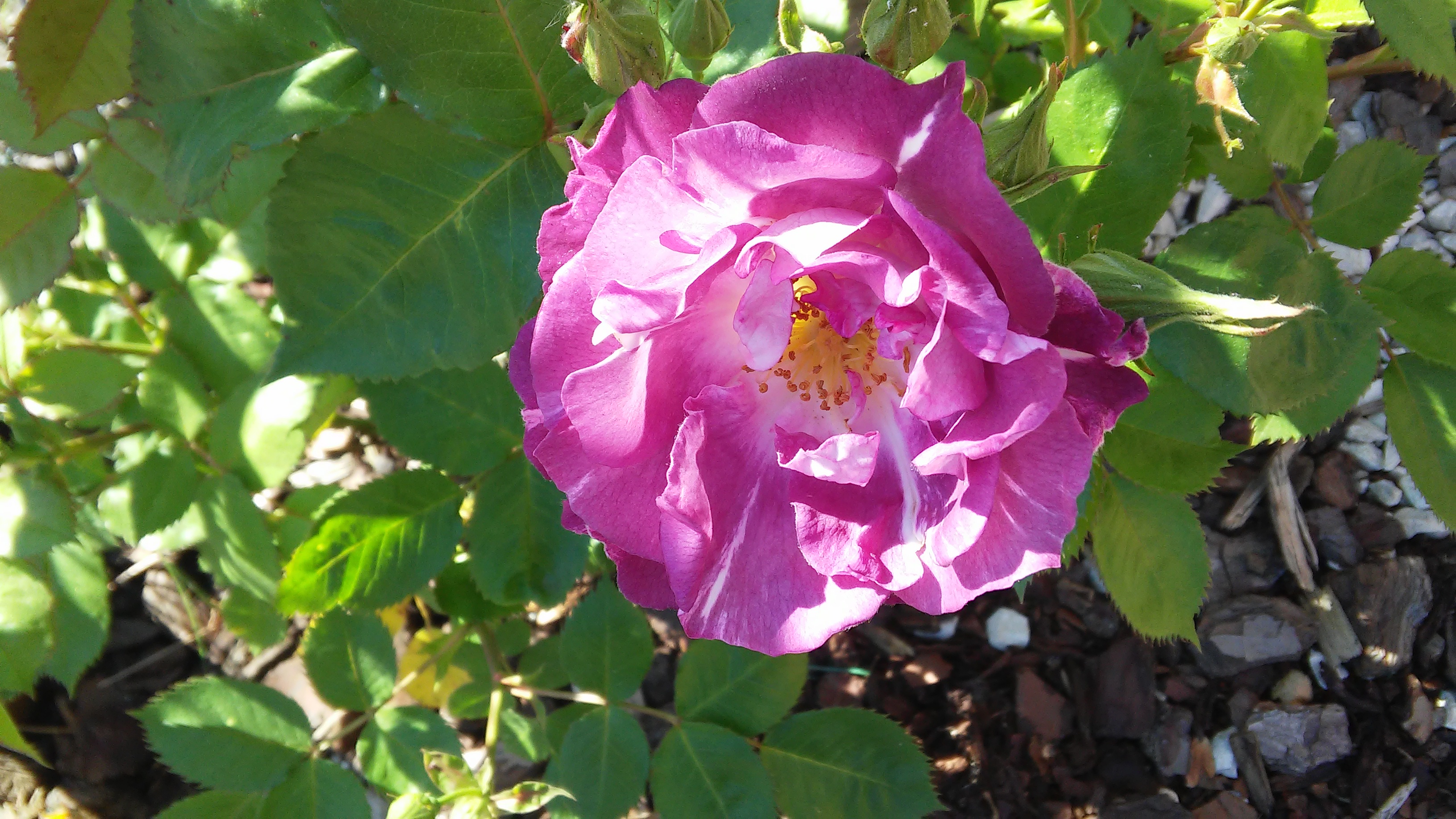 Annexe 20180508_163714.jpg