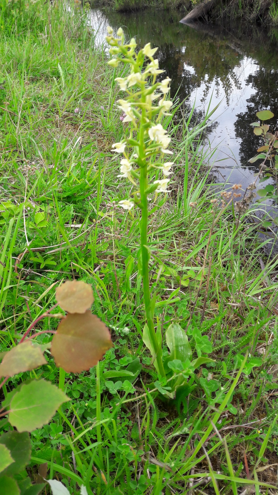 Annexe 20180512_152701_resized_1.jpg