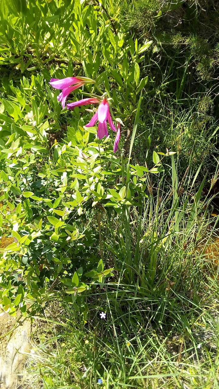 Annexe IMG_20180510_151252.jpg