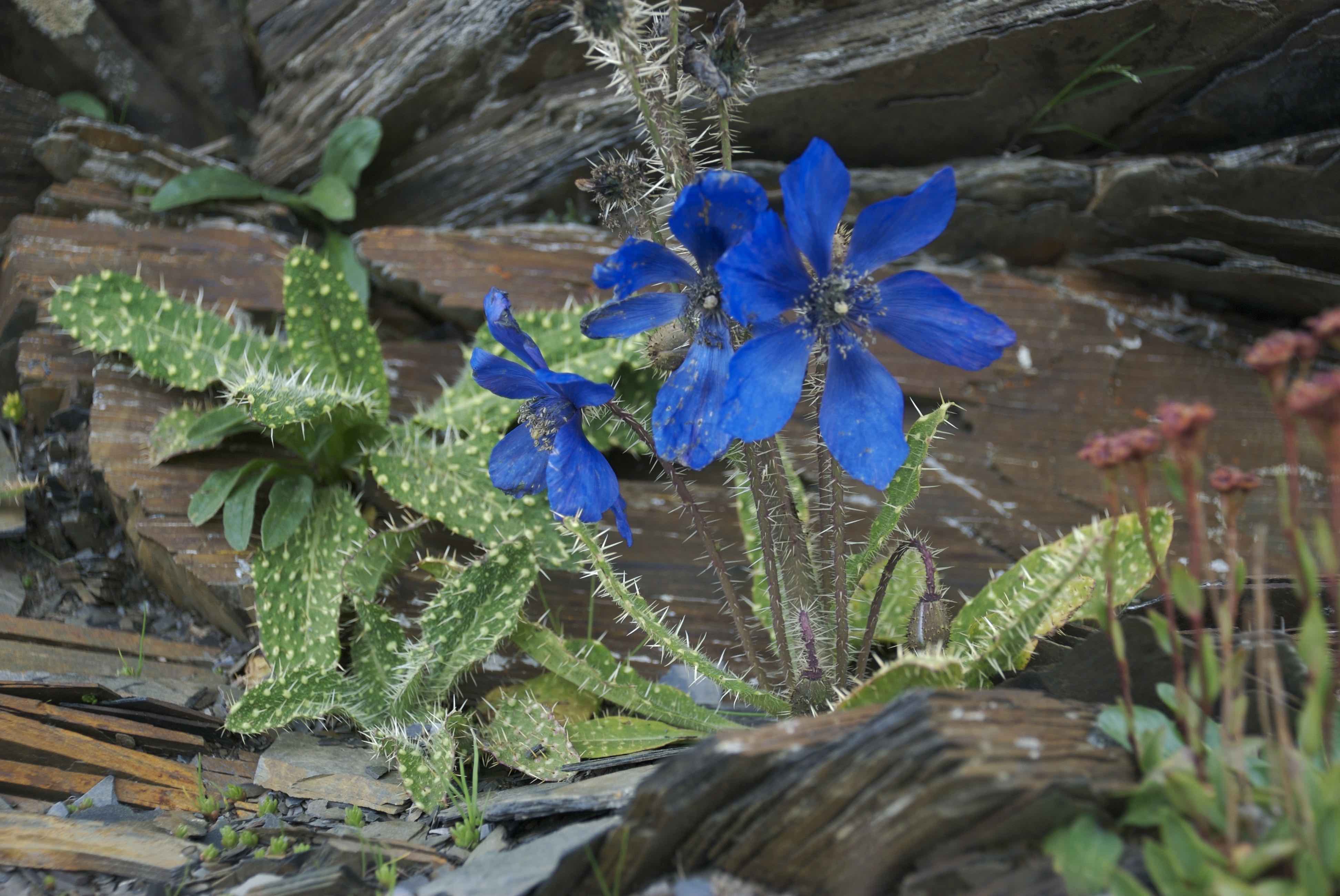 Annexe 100NCD80 - 269.jpg