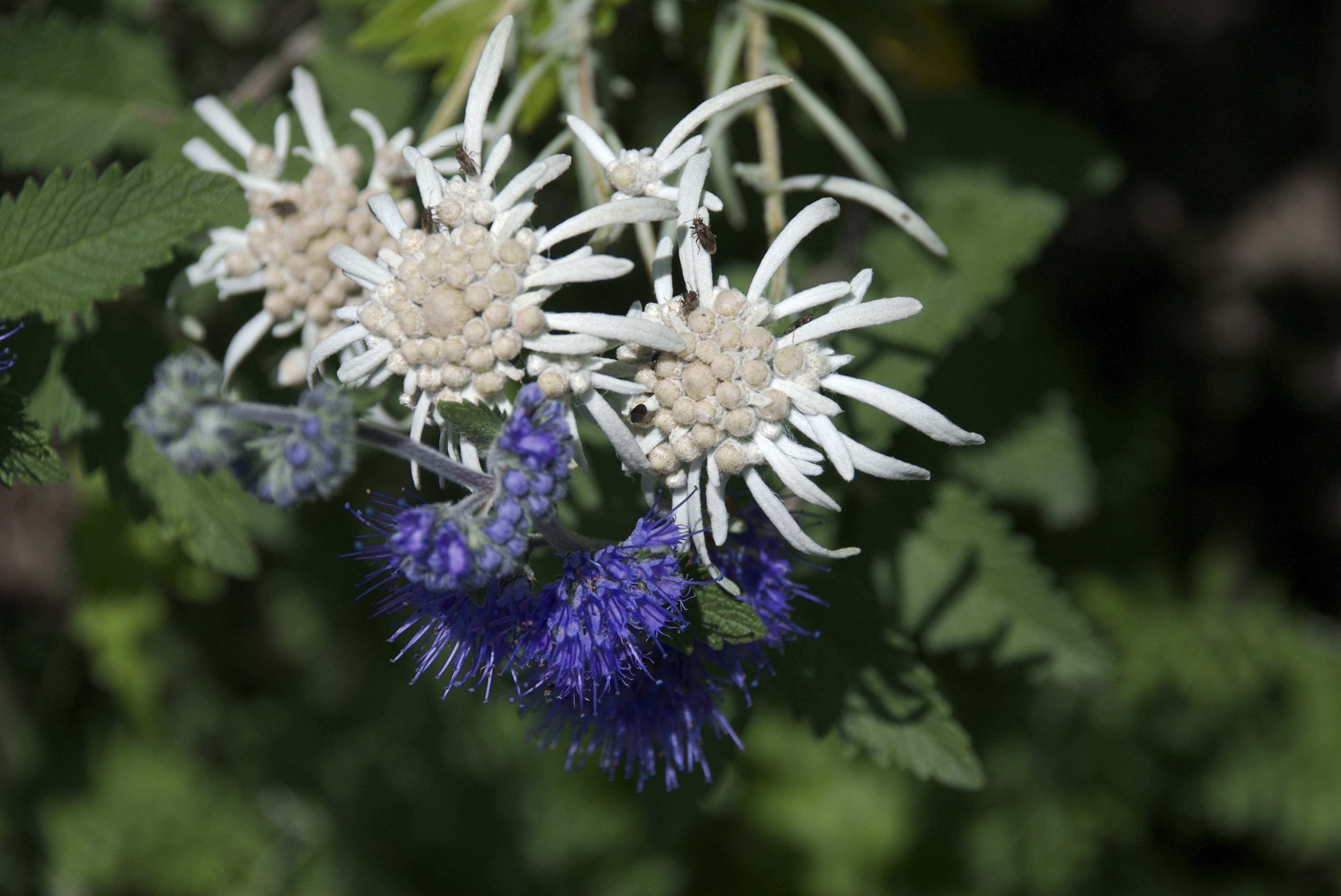 Annexe 101NCD80 - 178.jpg