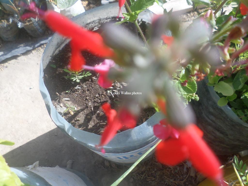 Annexe Inconnue13.JPG