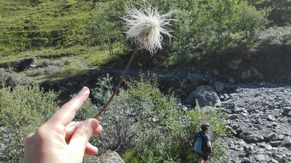 Annexe IMG_20170802_101509.jpg