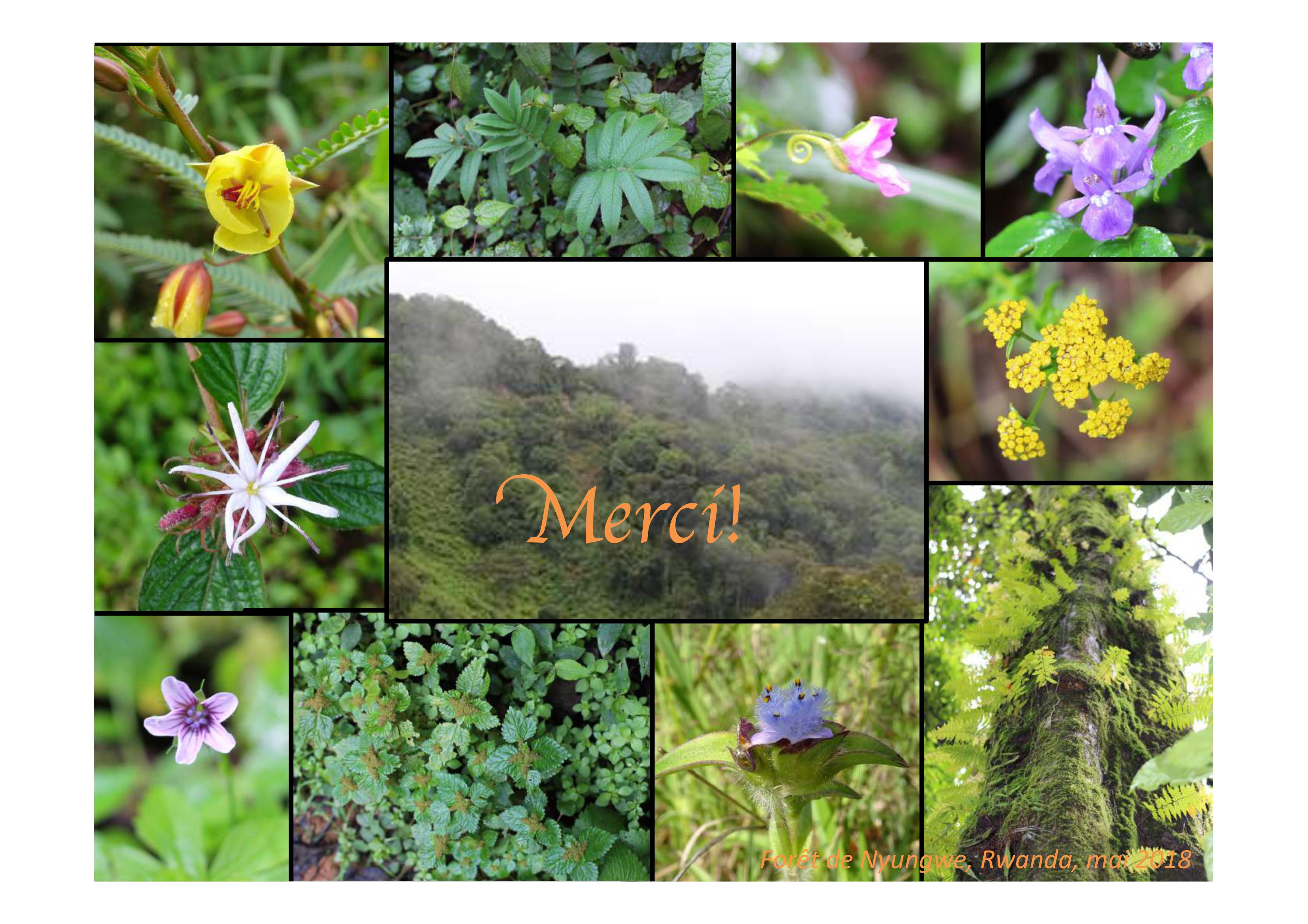 Message de remerciement