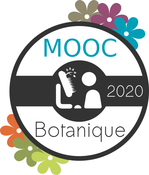 badge_mooc