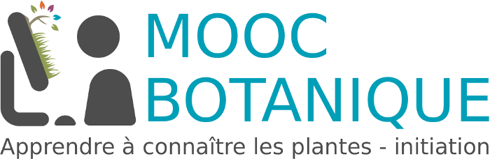 logo mooc
