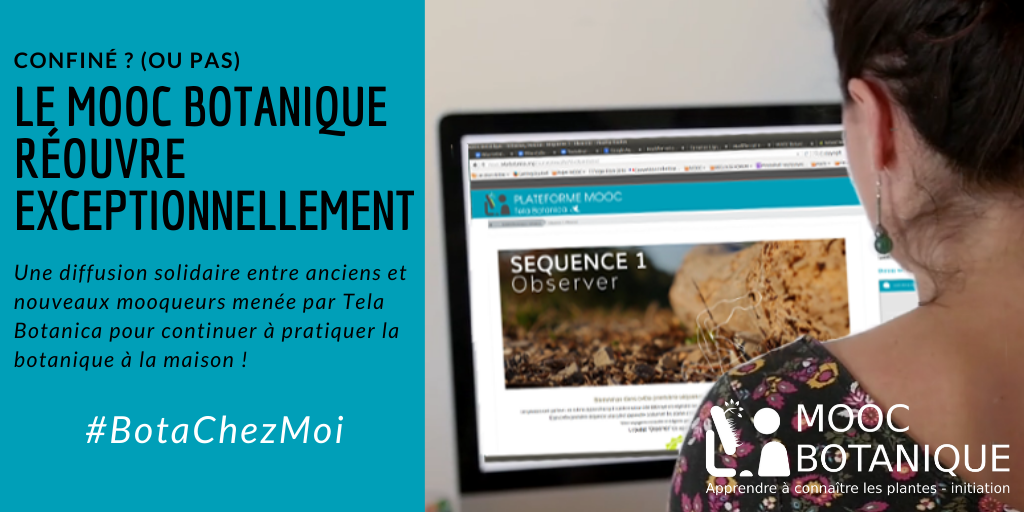 mooc botanique réouverture exceptionnelle