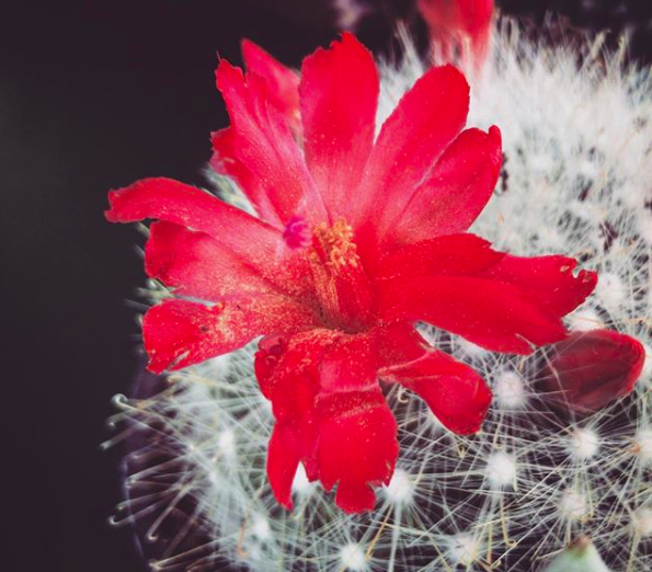 Annexe Capture d’écran 2020-03-26 à 16.46.55.png