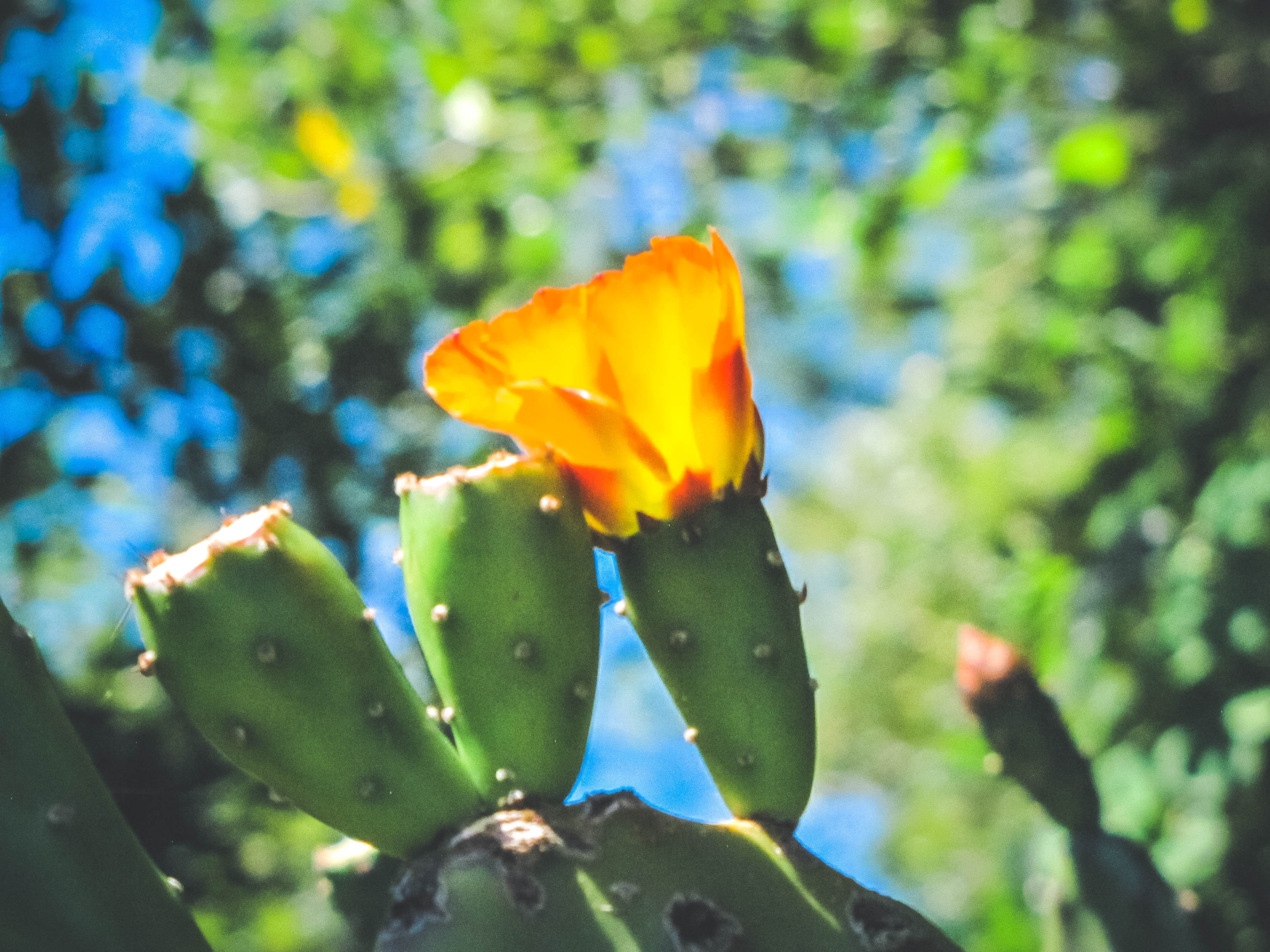 Annexe IMG_6654-1.jpg