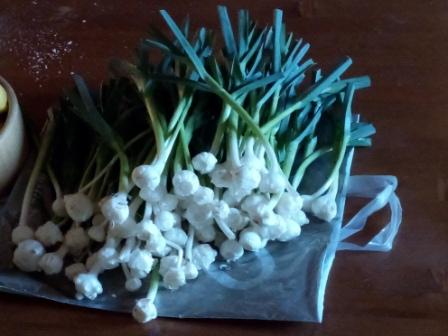 Annexe IMG_20200322_165025_8.jpg