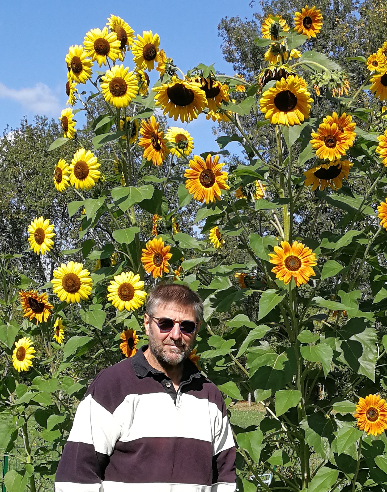 Annexe IMG_20190908_114514[379].jpg