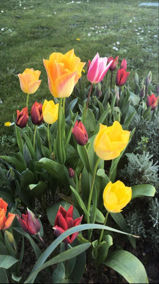 Annexe 90637923_216659856107612_3301746835965607936_n.jpg