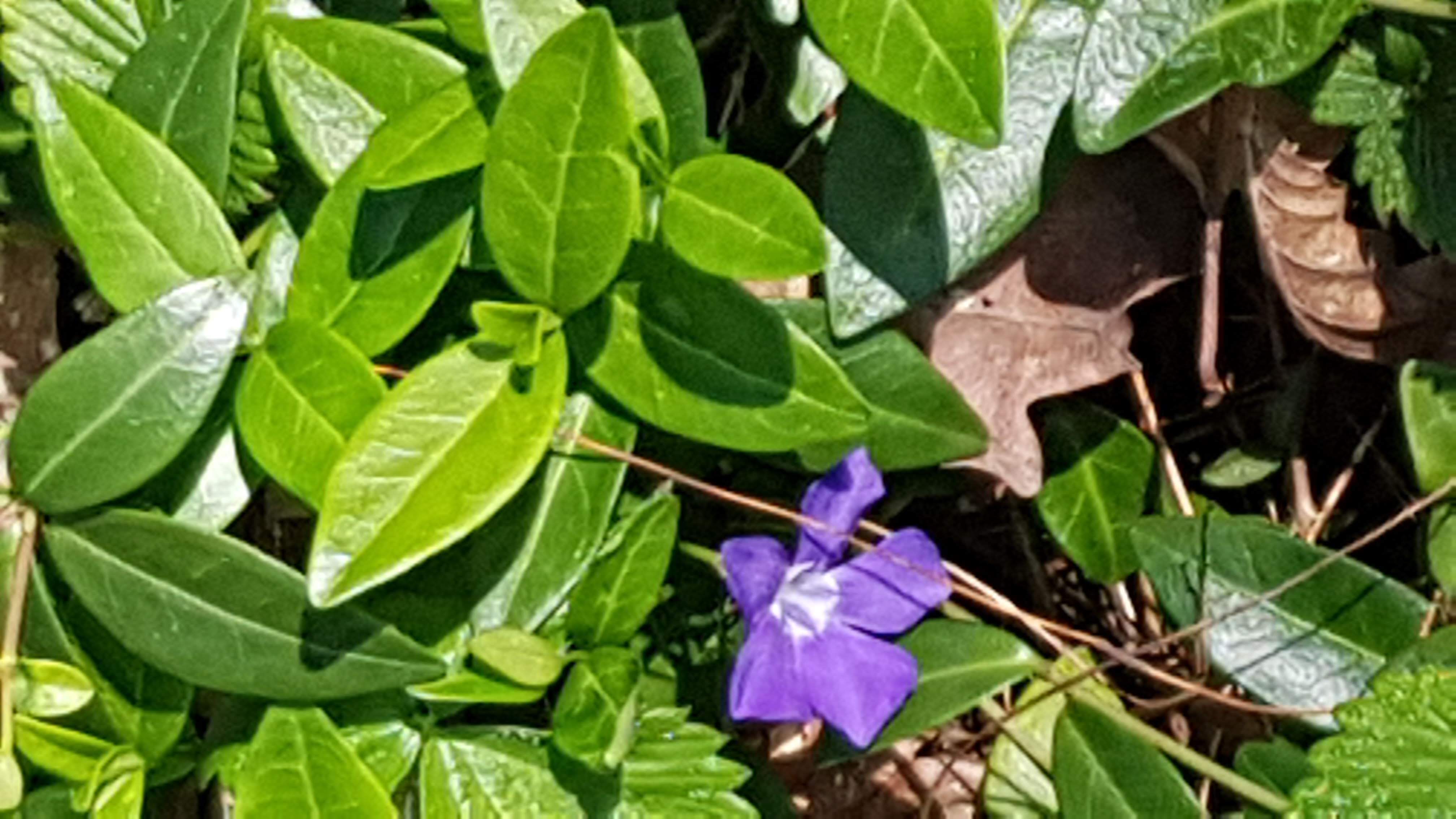 Annexe IMG-20200323-WA0016.jpeg