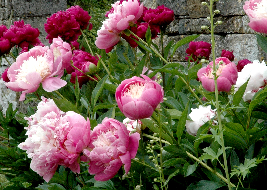 Annexe 6pnu7s6usigwo8c4osc4408cs-source-11323351.jpg