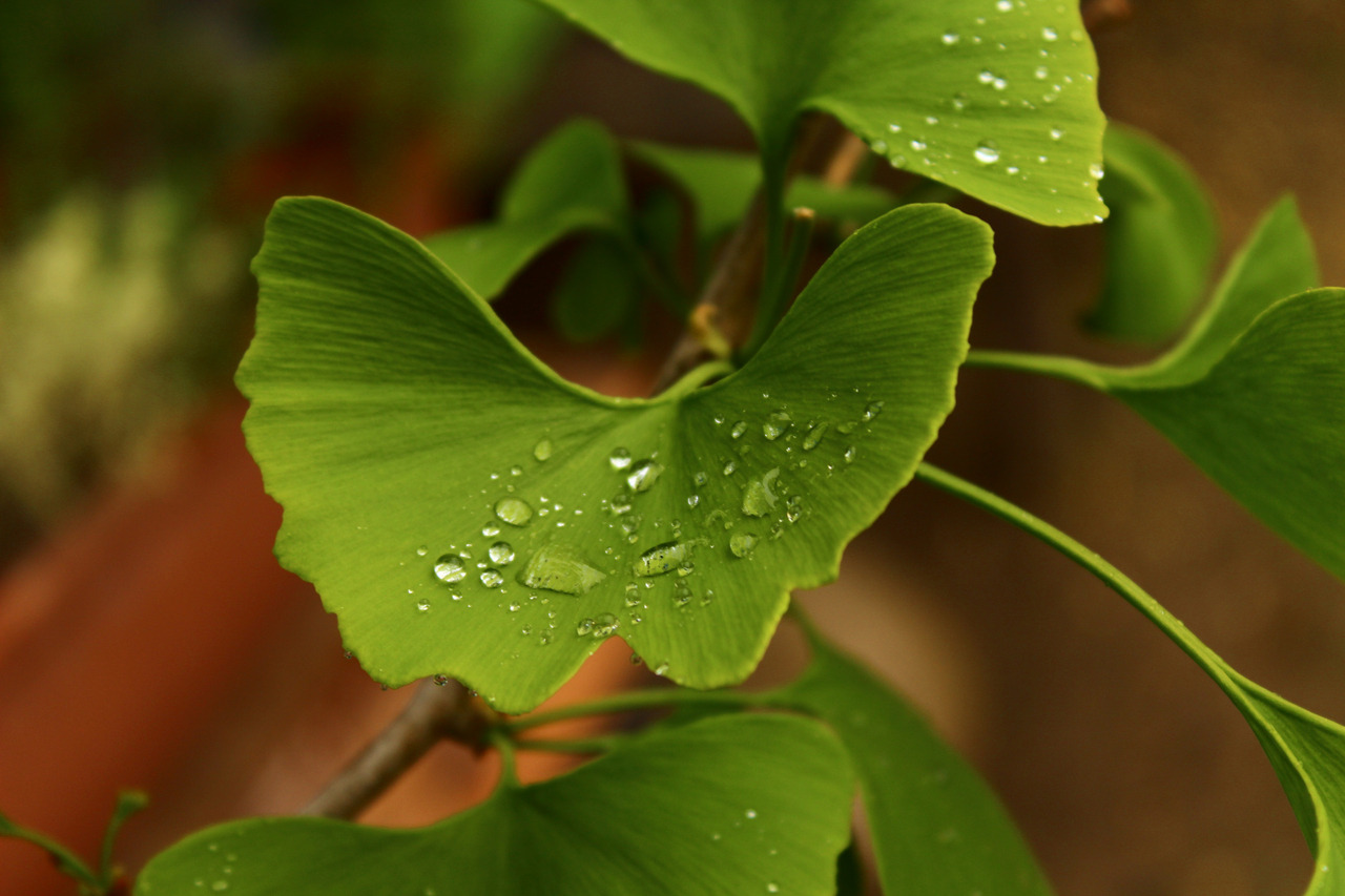 Annexe tumblr_p9x5wcWoFM1w61iqxo1_1280.jpg