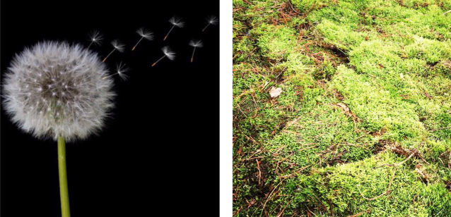 Annexe Capture d’écran 2020-03-26 à 23.13.25.jpg