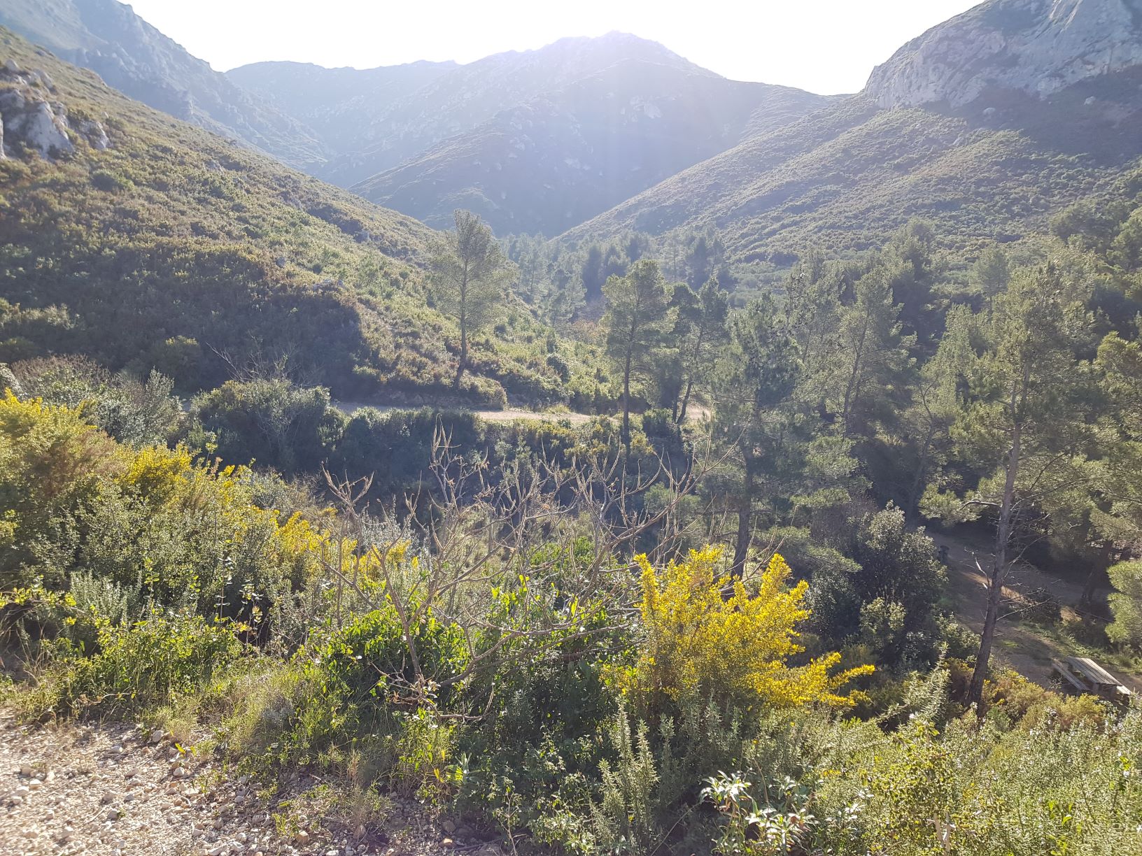 Annexe parc des bruy.jpg