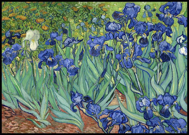 Annexe 300-irises---vincent-van-gogh.jpg