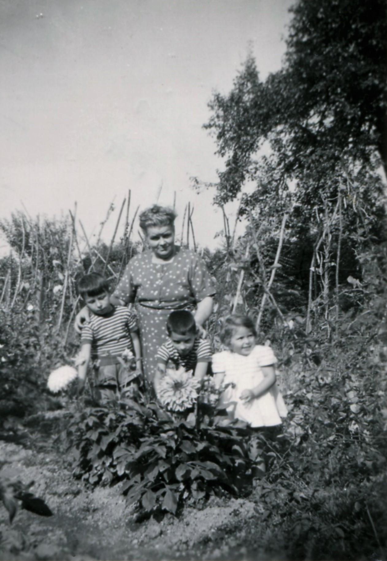 Annexe 1954_1_bussy.jpg