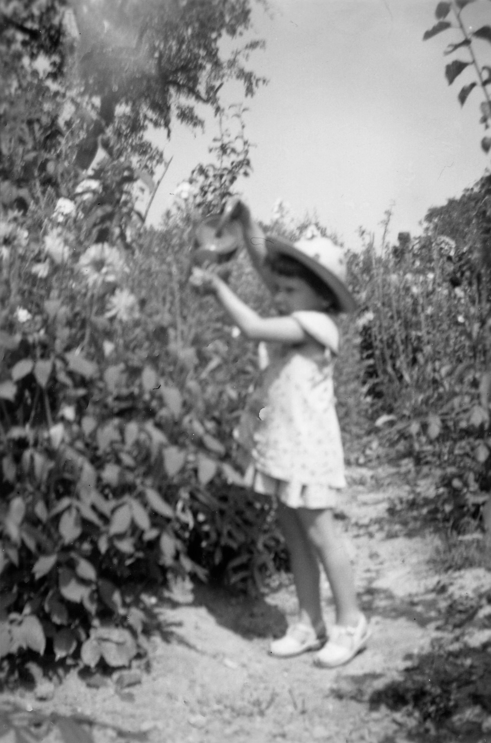 Annexe 1955_7_bussy.jpg