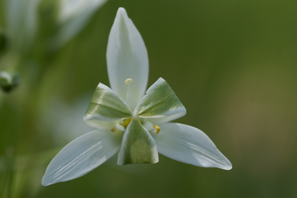 Annexe DSC07422 (1024x681).jpg