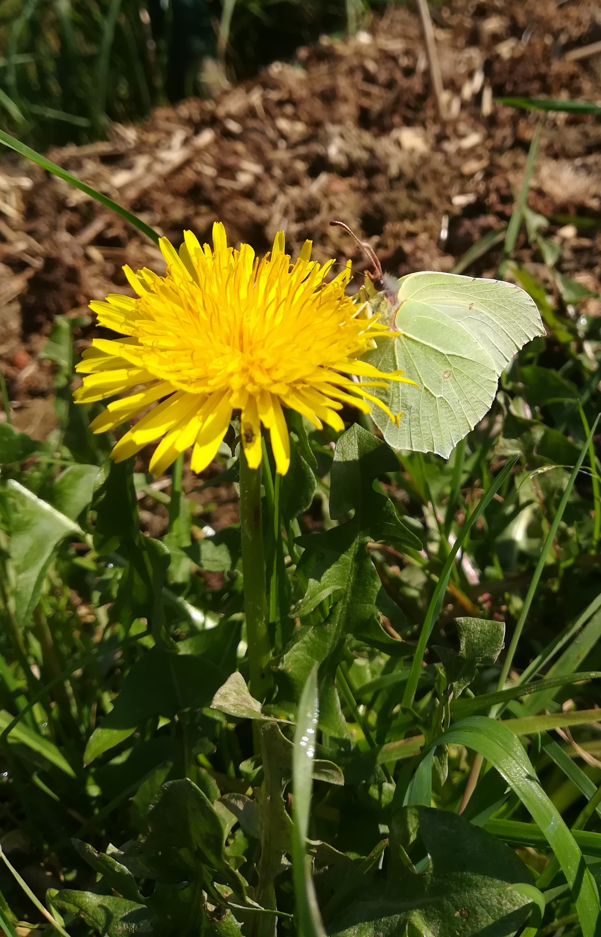 Annexe IMG_20200324_114540.jpg