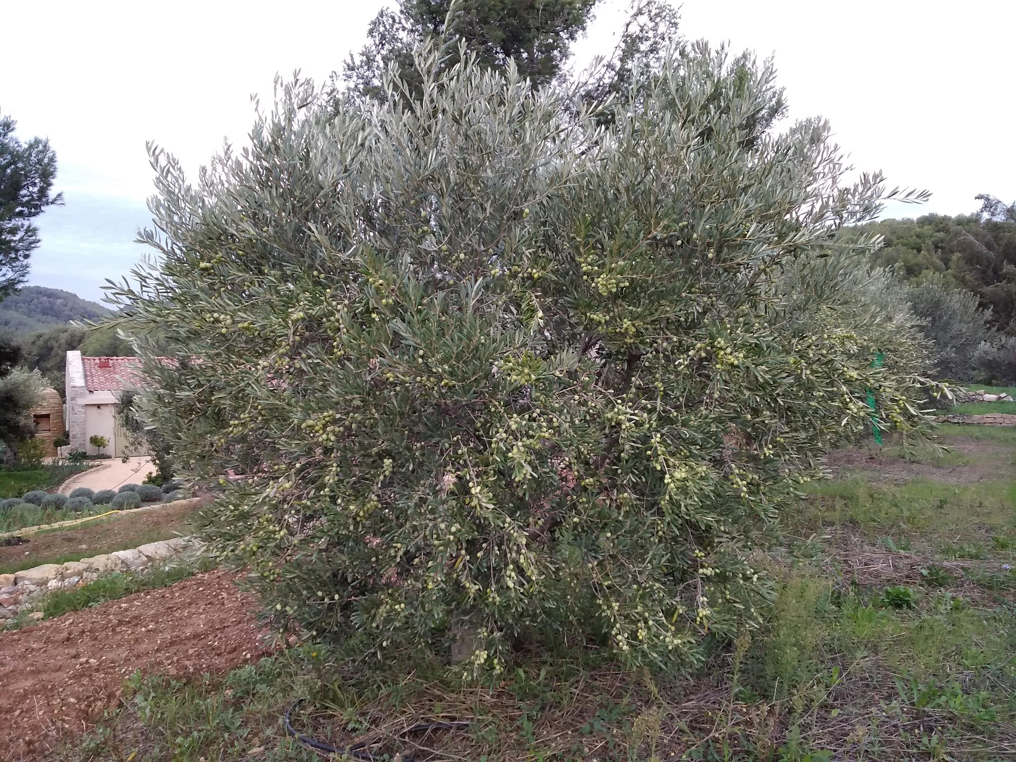 Annexe IMG_20191023_084501-min.jpg