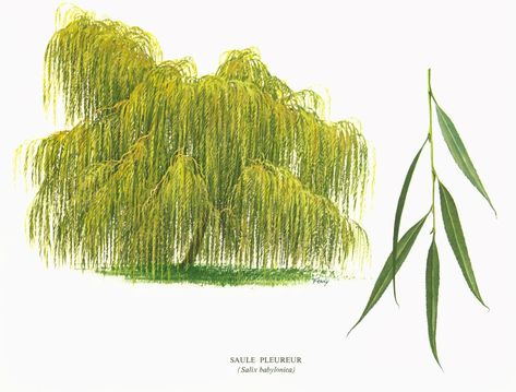 Annexe f466da4d960d08f3fe18cdf73f321fbe.jpg