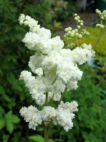 Annexe F4A8F8BC-673E-4547-9CBC-D196FB62CAD7.jpeg