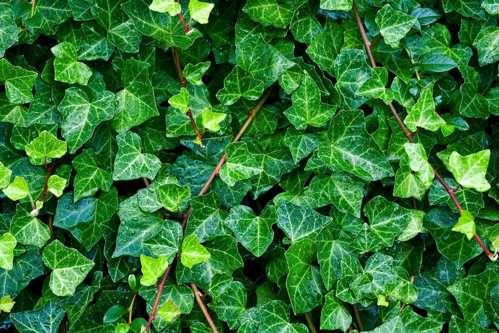 Annexe mainImage-full-9393610.jpg