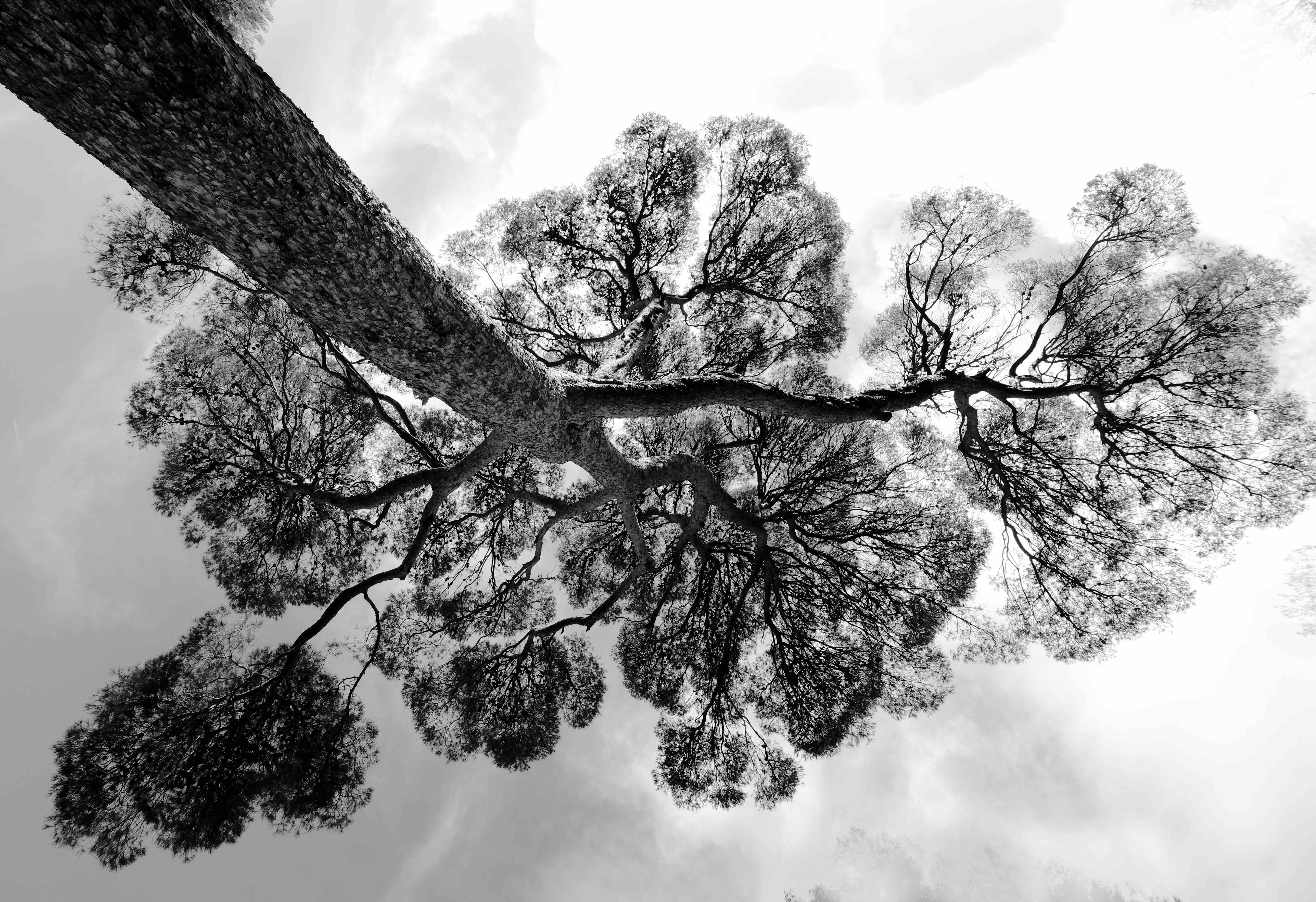 Annexe DSCF2595 - copie.jpg