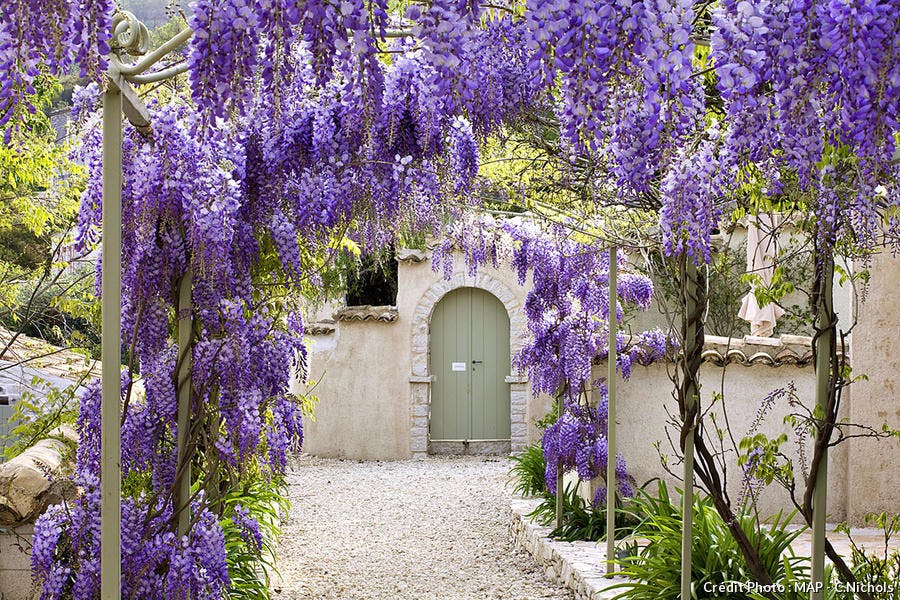 Annexe dj101_glycine_arche_cn_map.jpg