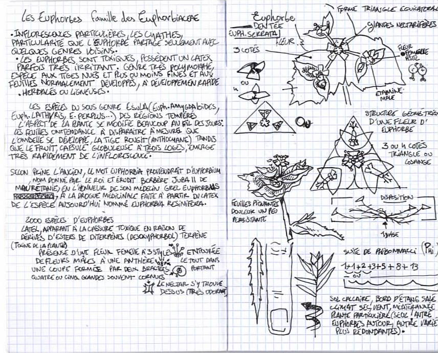 Annexe Numériser 2.jpeg