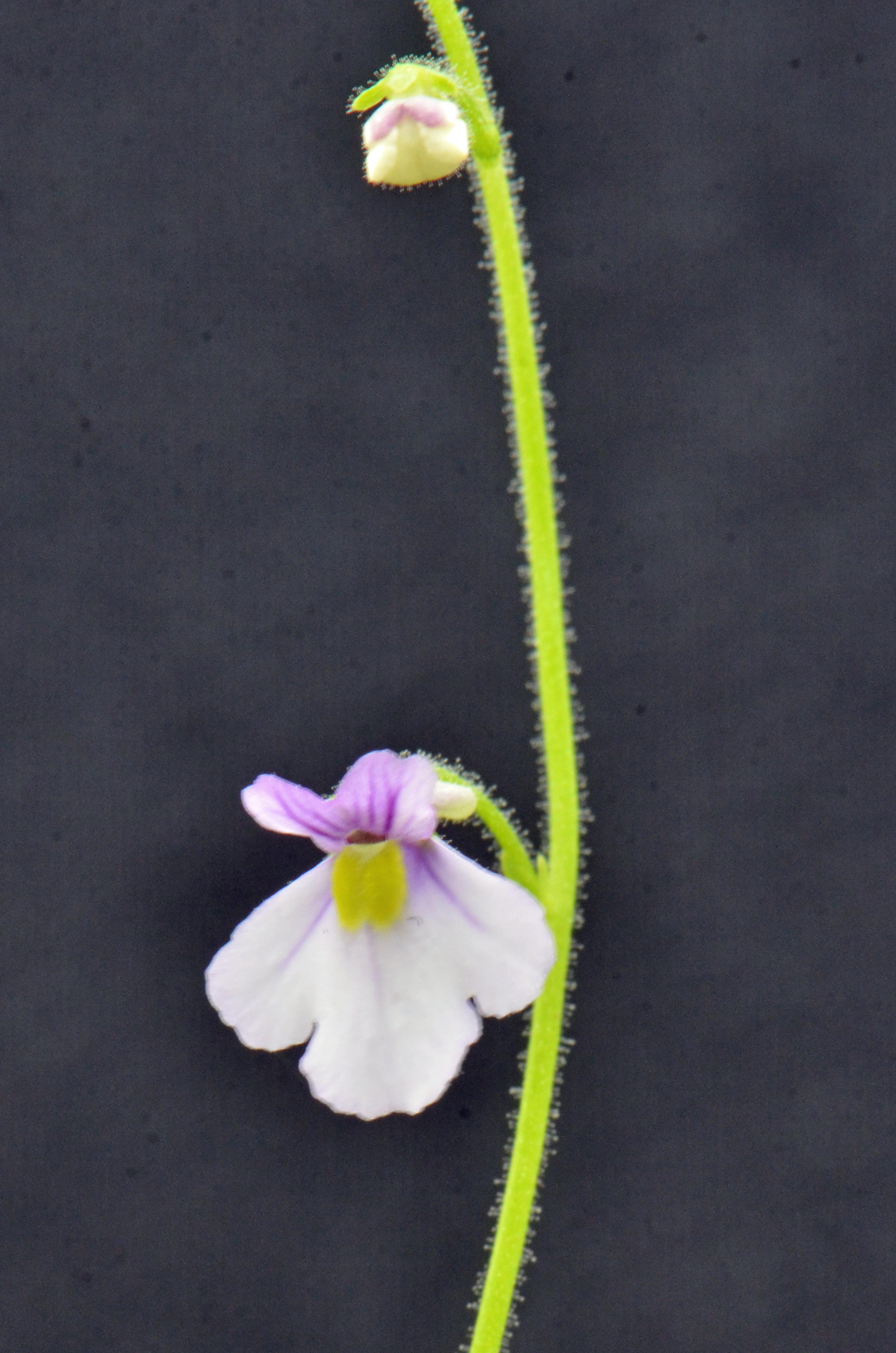 Annexe Photos_PH.jpg