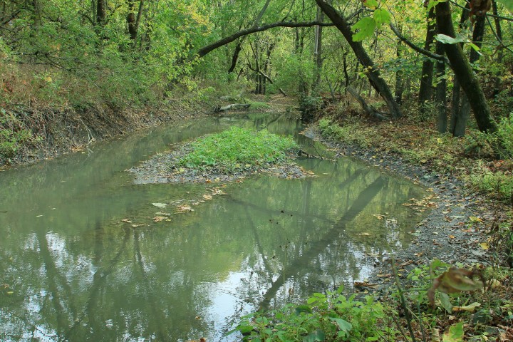 Annexe Boisé12 IMG_9424 (Small).JPG