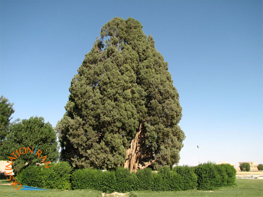 Annexe s468003859194629765_p75_i1_w640.jpeg