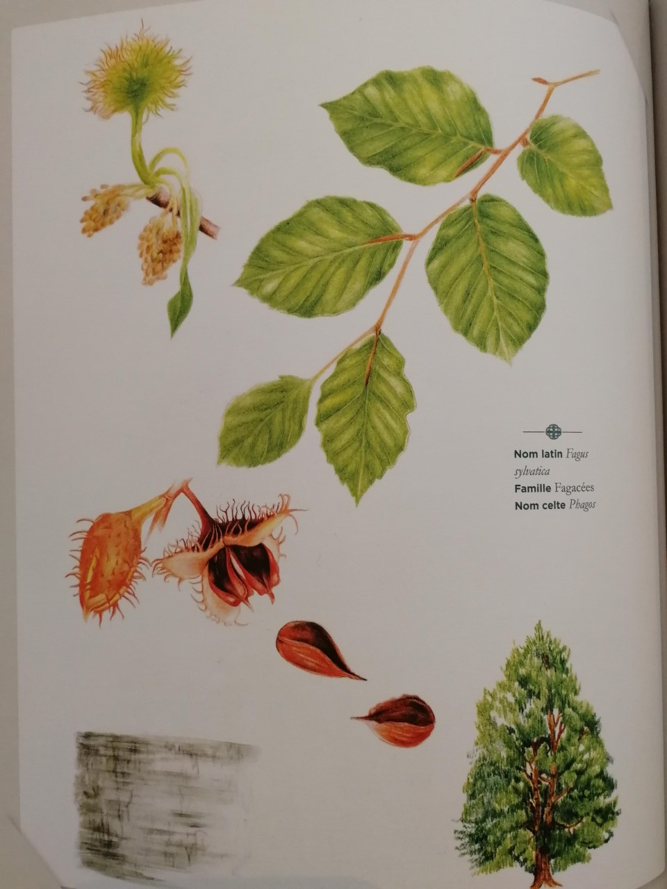 Annexe thumbnail_IMG_20200505_100513.jpg