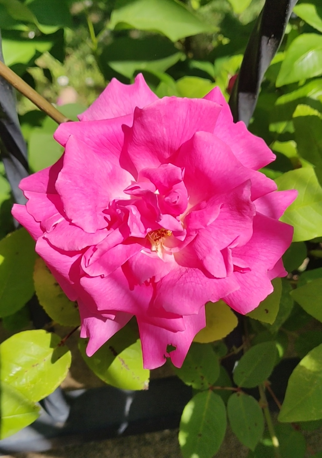 Annexe Screenshot_20200507-142302.jpg