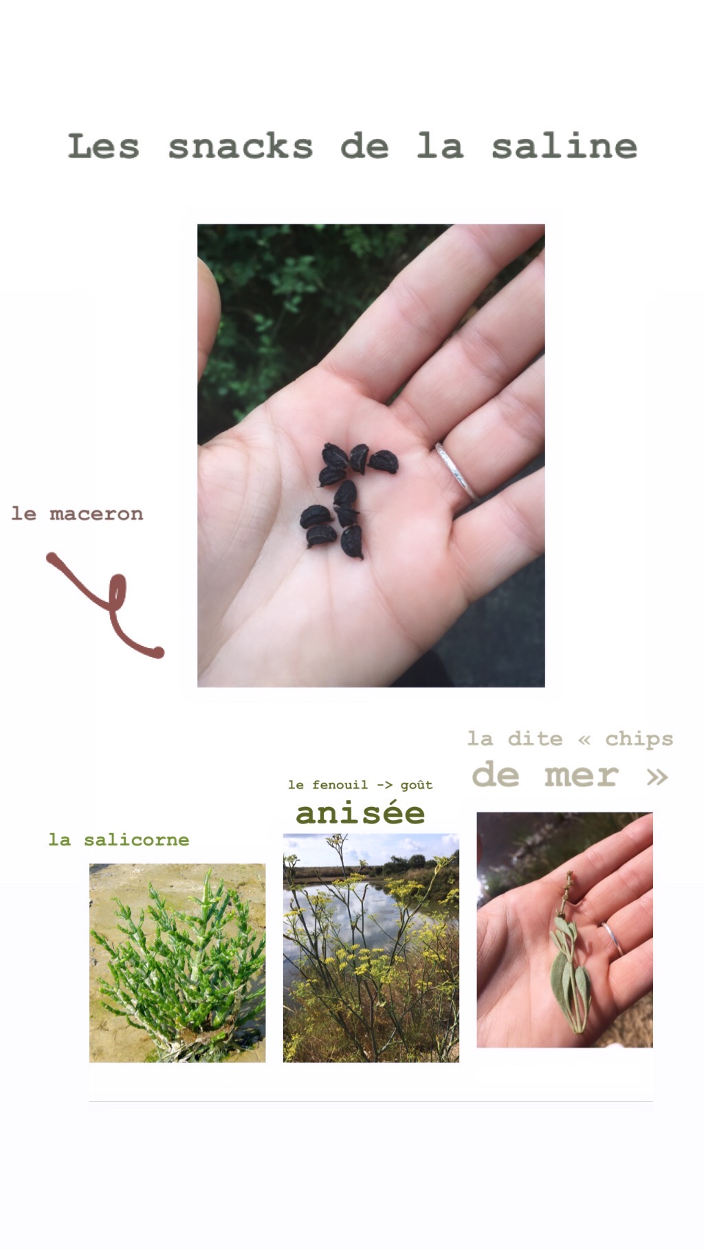 Annexe 78B14932-AF9E-4356-ADA2-EF4168FF40A6 2.JPG