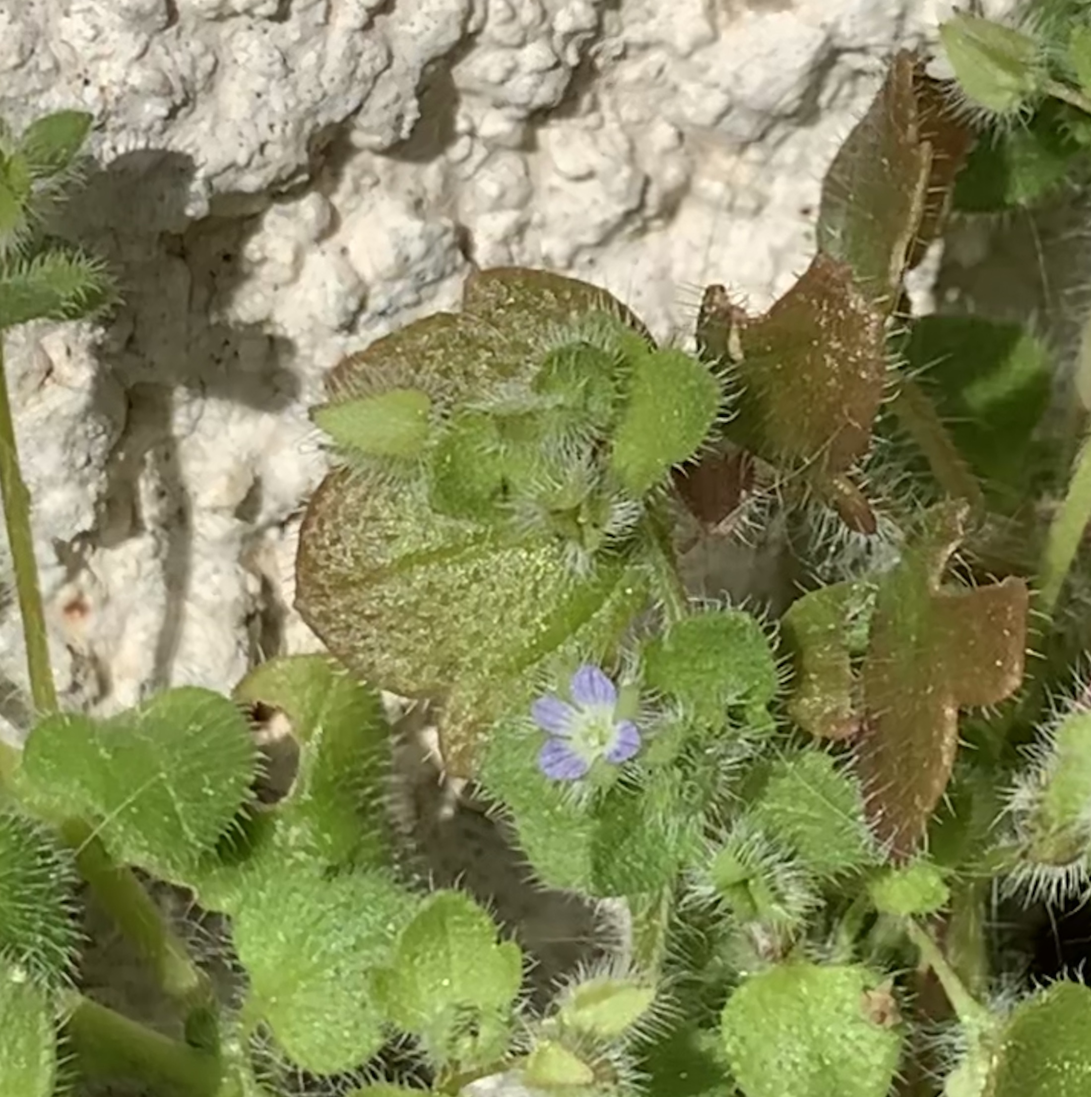 Annexe IMG_2149.jpeg