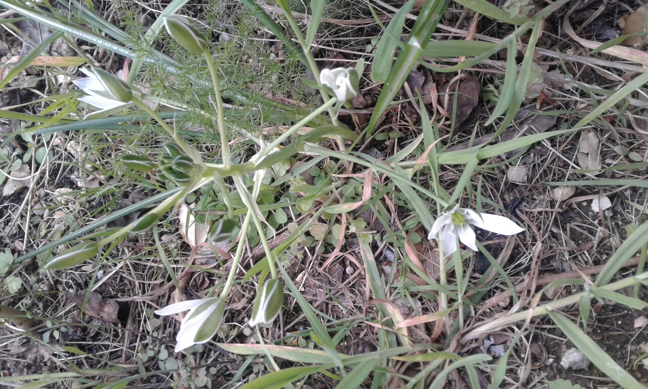 Annexe 20200326_151856.jpg