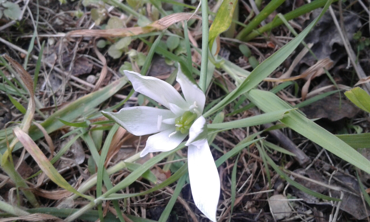 Annexe 20200326_151909.jpg