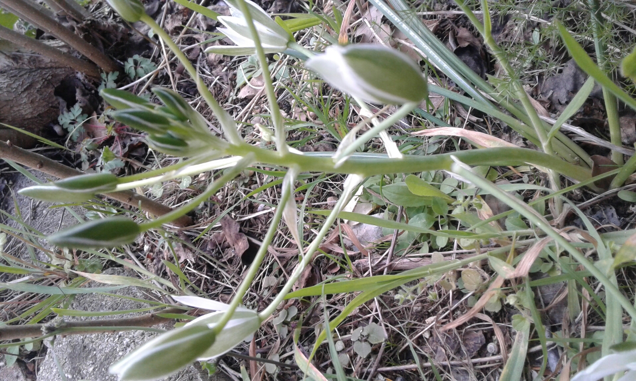 Annexe 20200326_151932.jpg