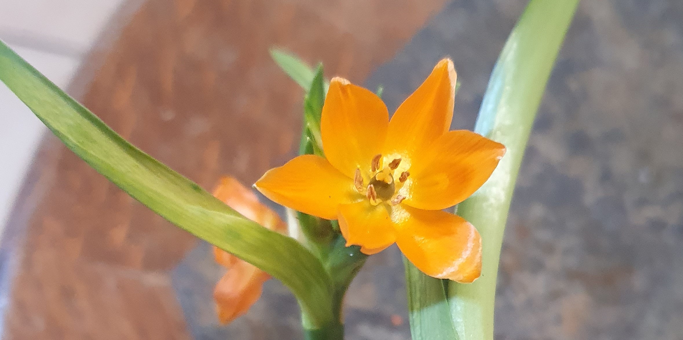 Annexe 20200326_153701.2.jpg