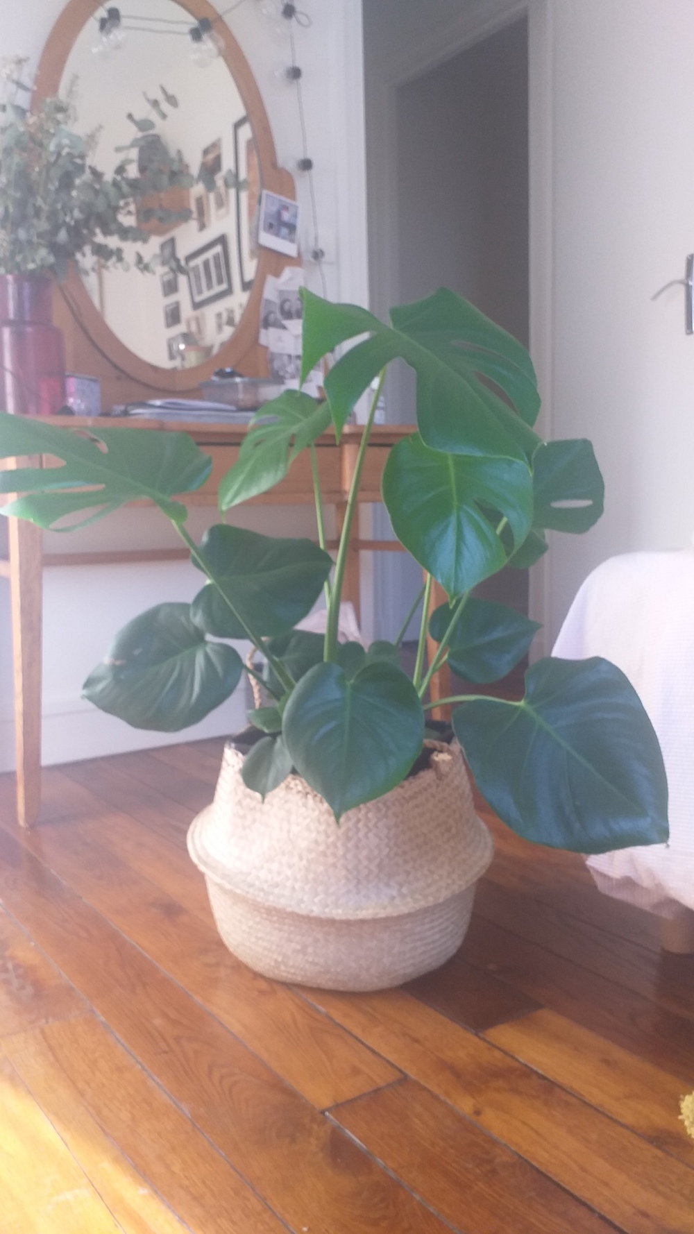 Annexe 20200326_170535.jpg